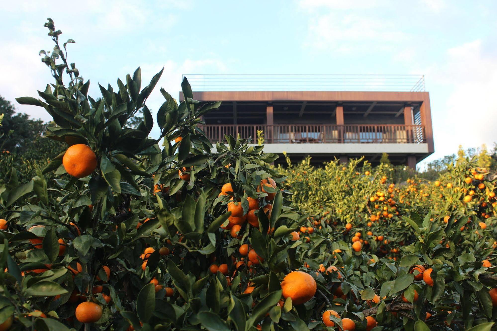 Jeju Eco Suites Seogwipo Exterior photo
